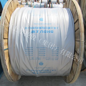 上海上塑電線電纜450/750V YCW橡套電纜 4*1