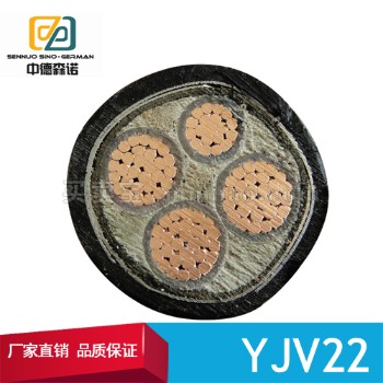 中德森诺 YJV22铜芯电力电缆