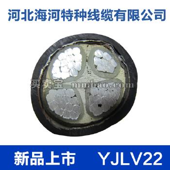 河北海河 0.6/1kV YJLV22铝芯交联聚乙烯绝缘双钢带铠装聚氯乙烯护套电力电缆 3*35+1*16