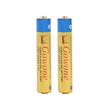 Gowone购旺 无汞环保碱性电池出口简装 9号电池 AAAA 遥控器/电磁笔/触控笔电池